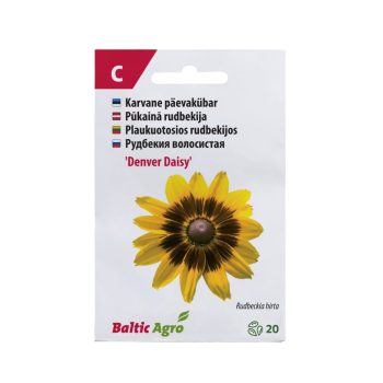 Päevakübar 'Denver Daisy'
