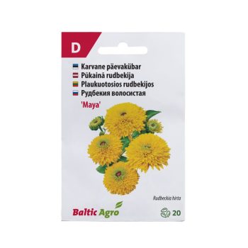 Päevakübar 'Maya'