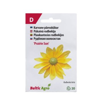 Päevakübar 'Prairie Sun'