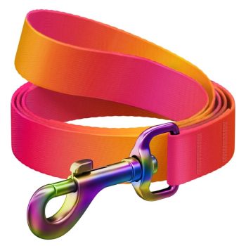 WAUDOG jalutusrihm koerale oranž, M, 1,2m
