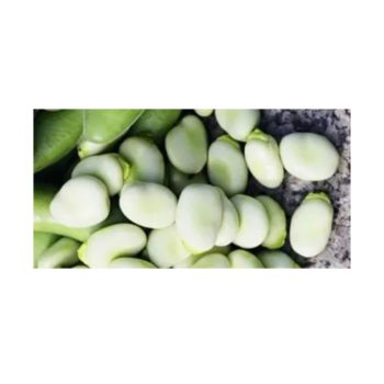Põlduba 'Hangdown' 50g
