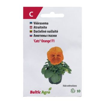 Võõrasema  'Cats® Orange' F1