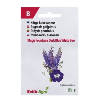 Kukekannus 'Magic Fountains Dark Blue White Bee'