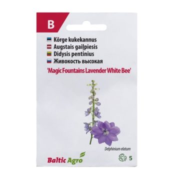 Kukekannus 'Magic Fountains Lavender White Bee'