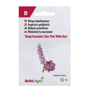 Kukekannus 'Magic Fountains Lilac Pink White Bee'