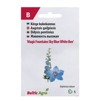 Kukekannus 'Magic Fountains Sky Blue White Bee'