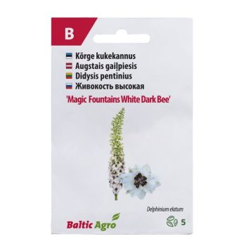 Kukekannus 'Magic Fountains White Dark Bee'