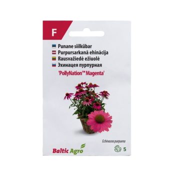 Siilkübar 'PollyNation™ Magenta'