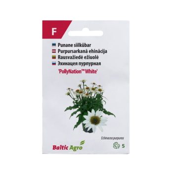 Siilkübar 'PollyNation™ White'