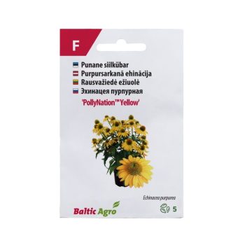Siilkübar 'PollyNation™ Yellow '