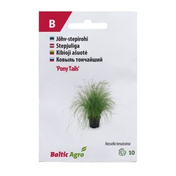 Stepirohi 'Pony Tails '