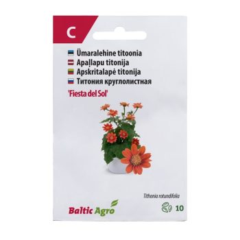 Titoonia  'Fiesta del Sol'