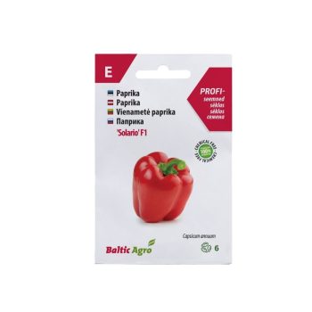 Paprika Solario F1, 6s