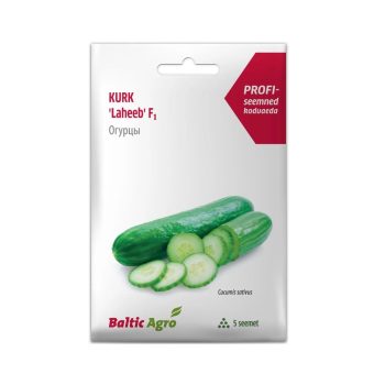 Poolpikk kasvuhoonekurk 'Laheeb' F1, 5s