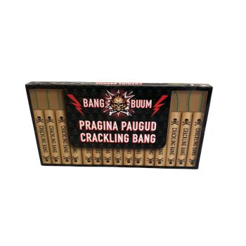 Pragina paugud / Päti paugud 15tk