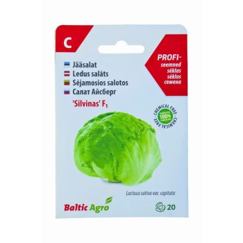 Jääsalat 'Silvinas' F1, 20pilli