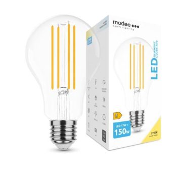 LED-lamp Filament Globe A70 17W E27 360° 2700K (2452 lumen)
