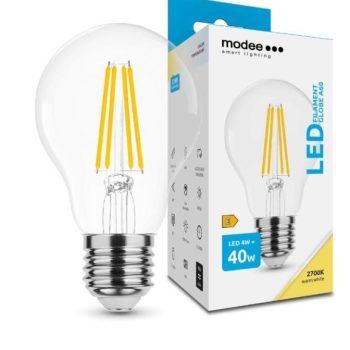 LED-lamp Filament Globe A60 4W E27 360° 2700K (470 lumen)