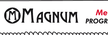 Tiigersaetera MAGNUM BIM Prog 200mm 2tk/pakendis, spetsiaaltera