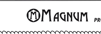 Tiigersaetera MAGNUM BIM 2,9/225mm 2tk/pakendis, spetsiaaltera