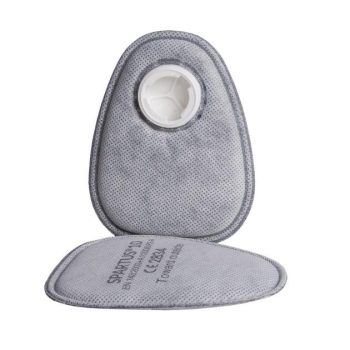 Filter P3R Spartus 70G poolmaskile 2tk/pk